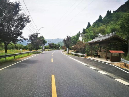 臨安公路榮膺省級綠化美化精品道路，橋梁藝術融入生態長廊